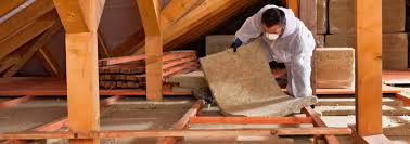 Best Attic Insulation Installation  in Burkburnett, TX