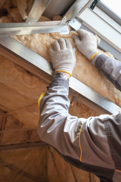 Best Spray Foam Insulation  in Burkburnett, TX